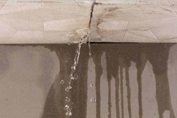 Professional Burst Pipe Cleanup technician working in Irene, TX